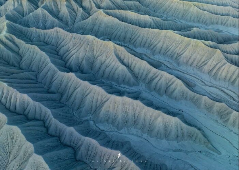 15 fotografías impresionantes que muestran los patrones y texturas de la naturaleza Por Michael Hindman