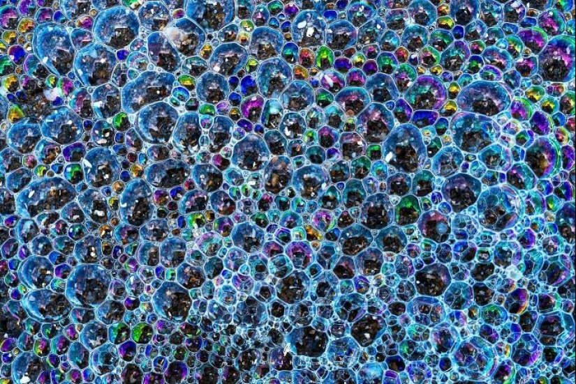 15 fotografías impresionantes que muestran los patrones y texturas de la naturaleza Por Michael Hindman