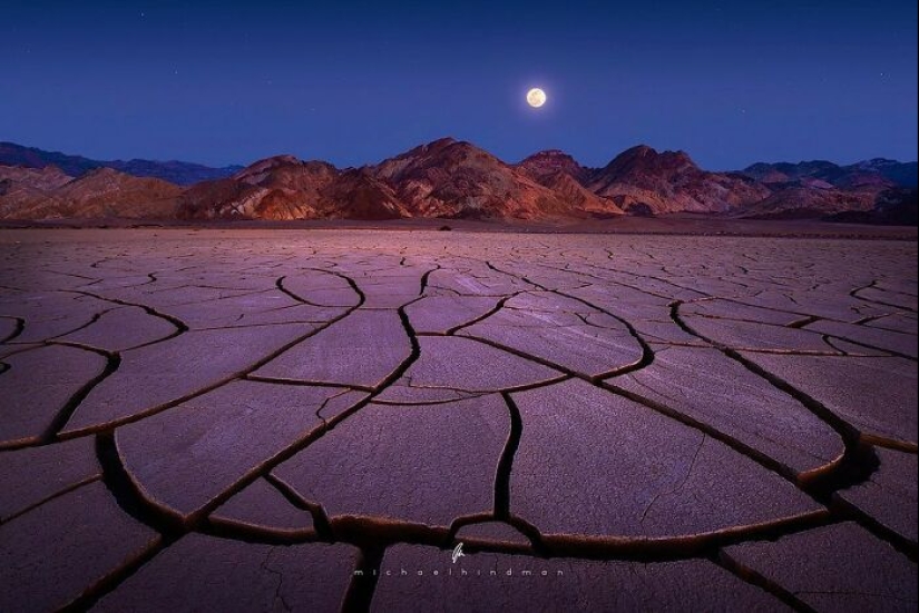 15 fotografías impresionantes que muestran los patrones y texturas de la naturaleza Por Michael Hindman