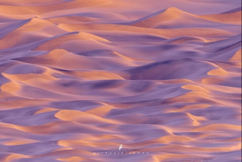 15 fotografías impresionantes que muestran los patrones y texturas de la naturaleza Por Michael Hindman