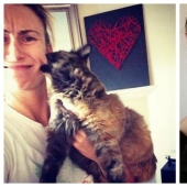 15 gatos que odian a los selfies con la gente