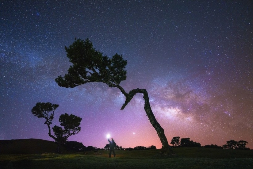 15 hermosas fotos de la mística de los bosques en la isla de Madeira 15 hermosas fotos de la mística de los bosques en la isla de Madeira