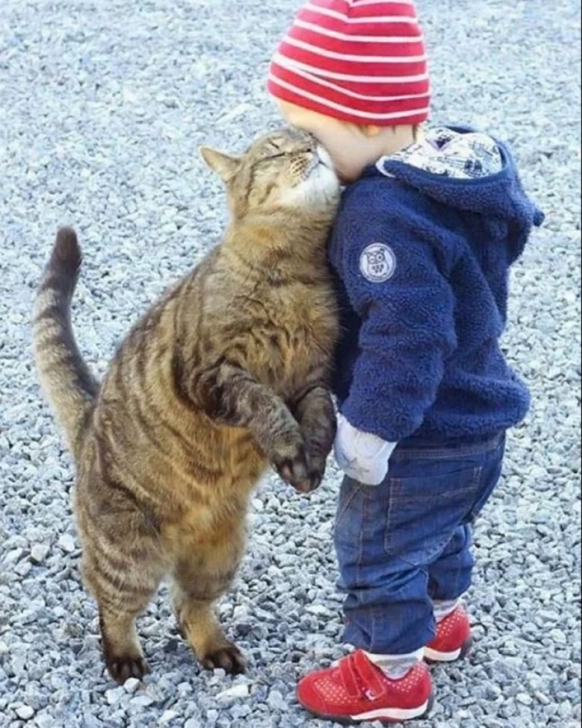 15 Hilariously Absurd Random Pics That Hit Like A Drunk Text At 3 AM