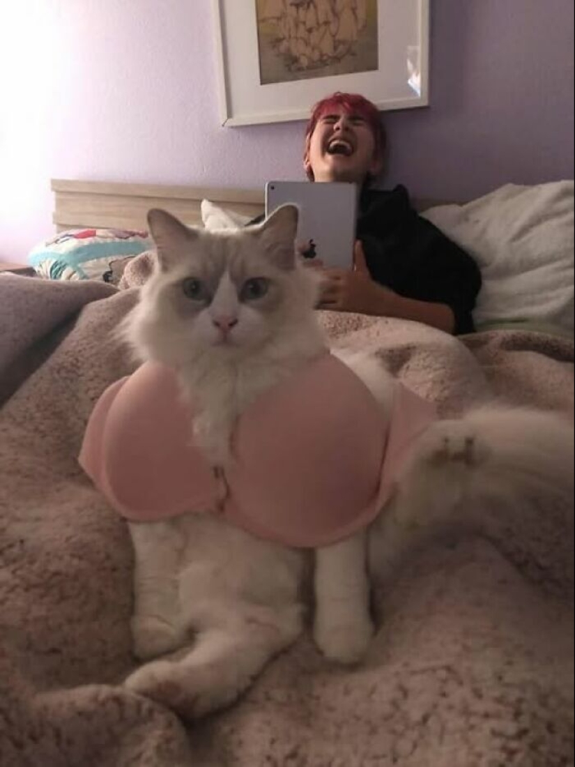 15 Hilariously Absurd Random Pics That Hit Like A Drunk Text At 3 AM