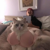 15 Hilariously Absurd Random Pics That Hit Like A Drunk Text At 3 AM 15 Hilariously Absurd Random Pics That Hit Like A Drunk Text At 3 AM