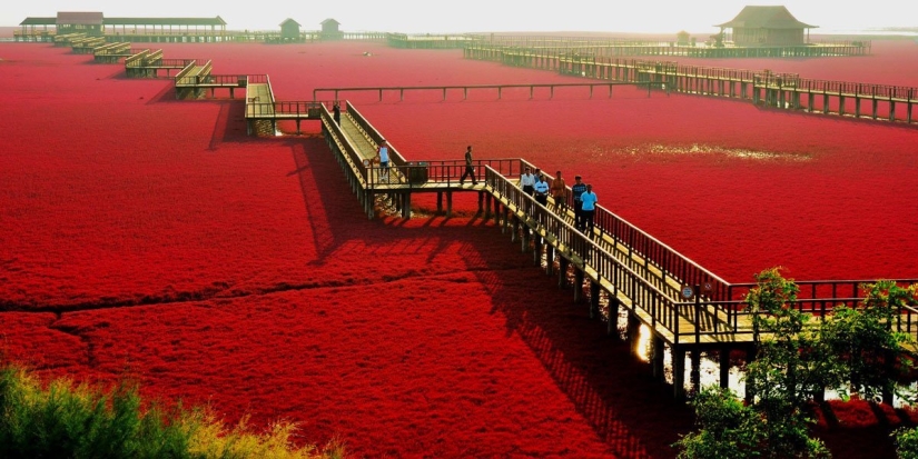15 increíblemente hermosos lugares en la Tierra que están esperando por usted 15 increíblemente hermosos lugares en la Tierra que están esperando por usted