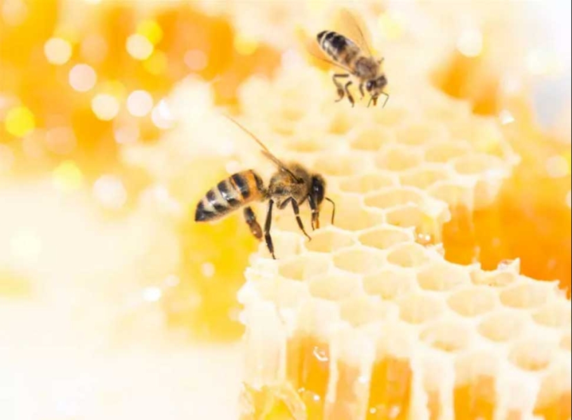 15 interesting facts that will make you unprintable wonder out loud