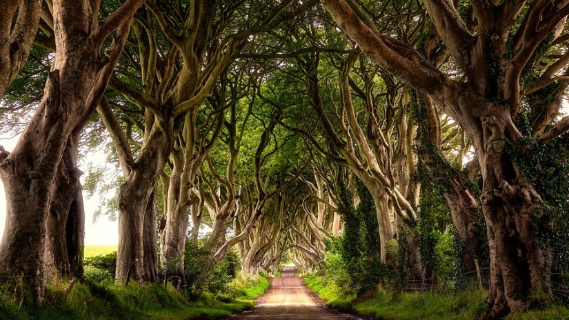 15 lugares no turísticos donde el carácter real de cada país es visible 15 lugares no turísticos donde el carácter real de cada país es visible