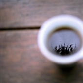 15 maneras de usar los posos de café de una manera ecológica 15 maneras de usar los posos de café de una manera ecológica