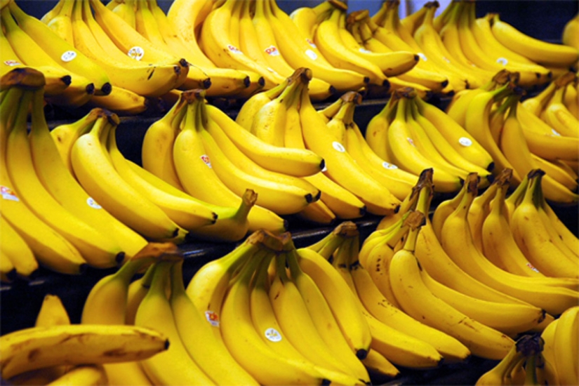 15 mitos populares sobre la alimentación saludable y cómo desmentirlos 15 mitos populares sobre la alimentación saludable y cómo desmentirlos
