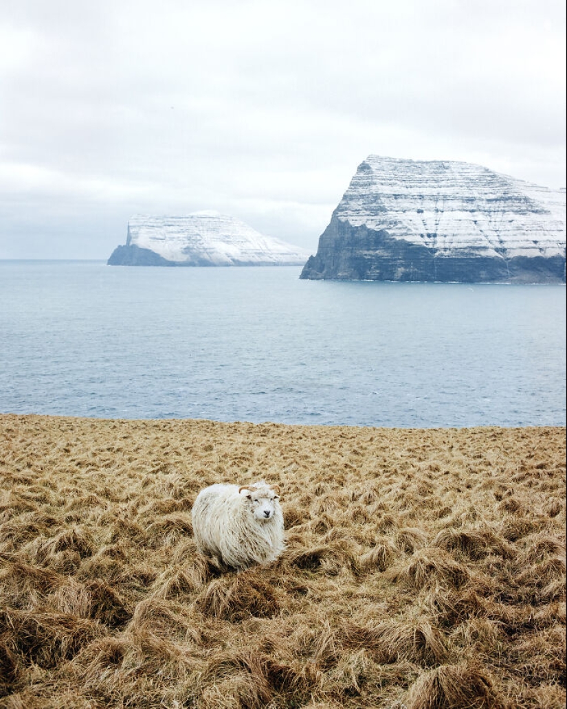 15 Most Stunning Photos From The 2024 IPA, Taken By Winners And Finalists From Around The World 15 Most Stunning Photos From The 2024 IPA, Taken By Winners And Finalists From Around The World