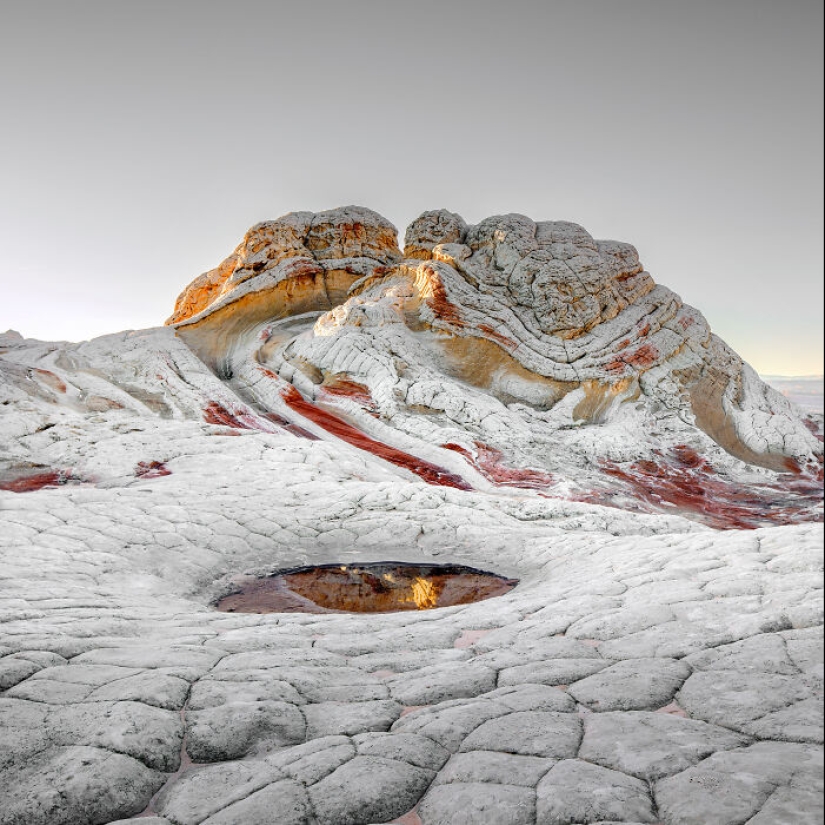 15 Most Stunning Photos From The 2024 IPA, Taken By Winners And Finalists From Around The World 15 Most Stunning Photos From The 2024 IPA, Taken By Winners And Finalists From Around The World