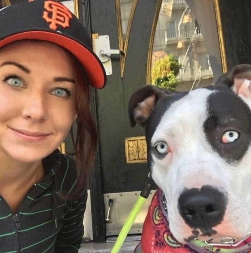 15 of the hosts that are so similar to their Pets