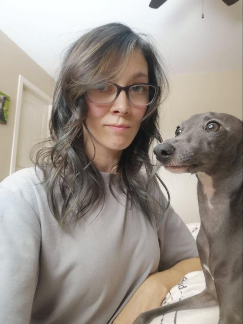 15 of the hosts that are so similar to their Pets