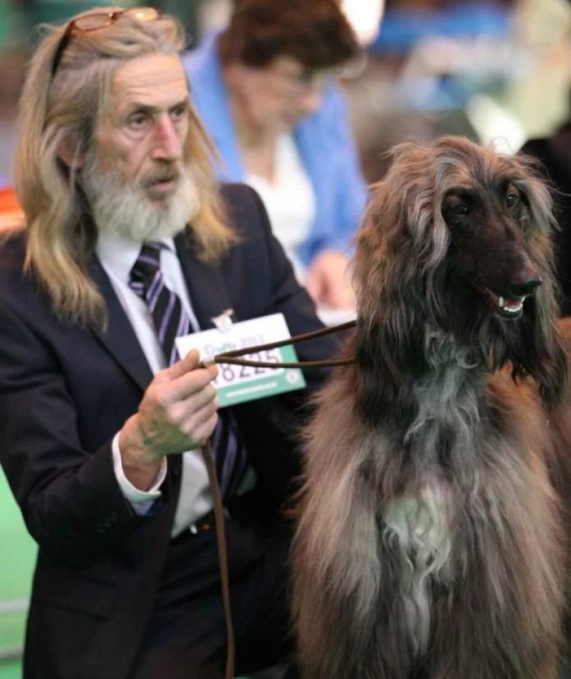 15 of the hosts that are so similar to their Pets