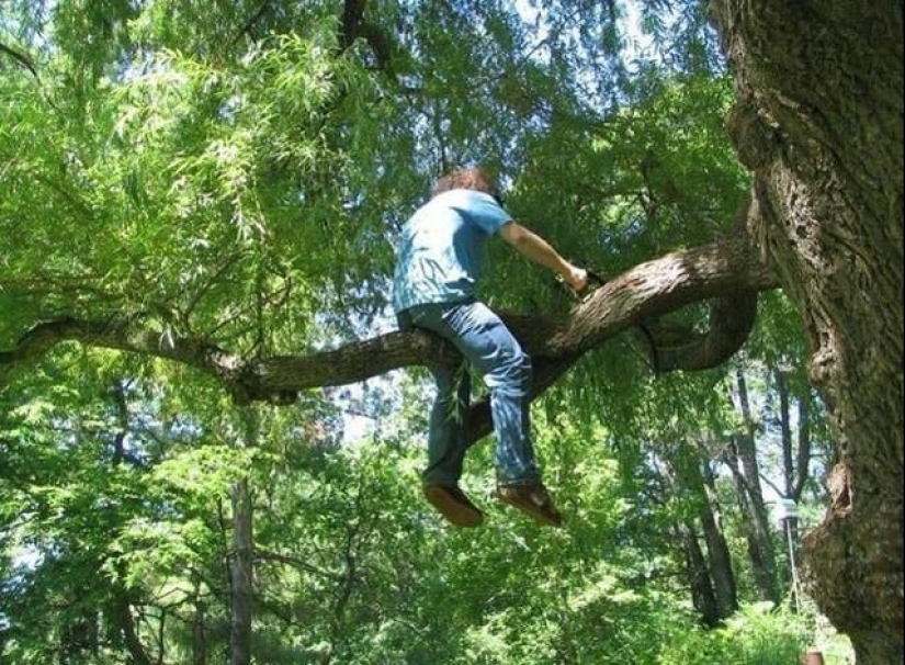 15 people who had never heard of safety precautions