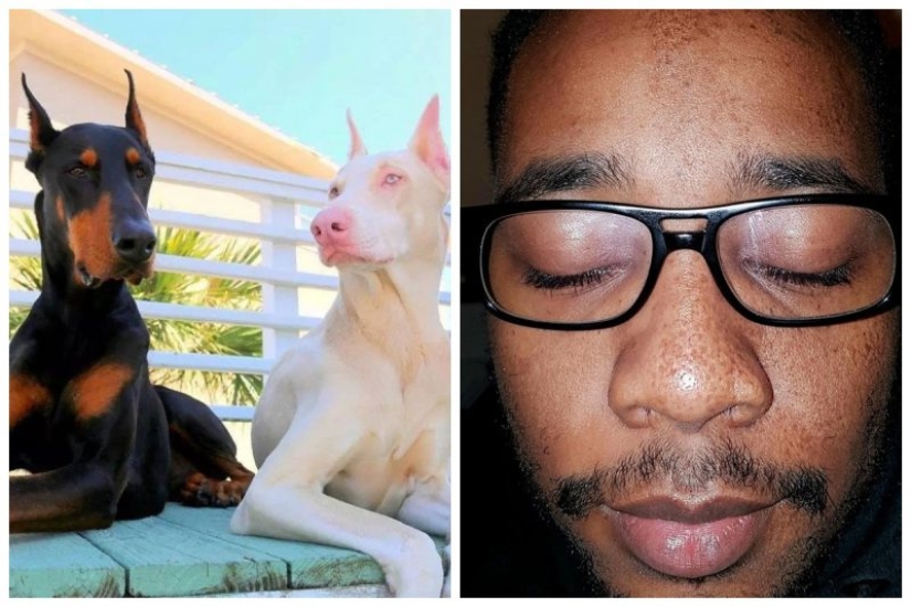 15 personas y animales, que ganó la lotería genética