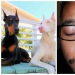 15 personas y animales, que ganó la lotería genética 15 personas y animales, que ganó la lotería genética
