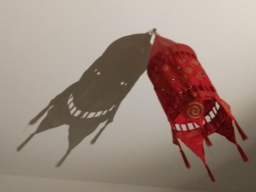 15 photos from the series "seemed", because of which your heart will begin to beat faster