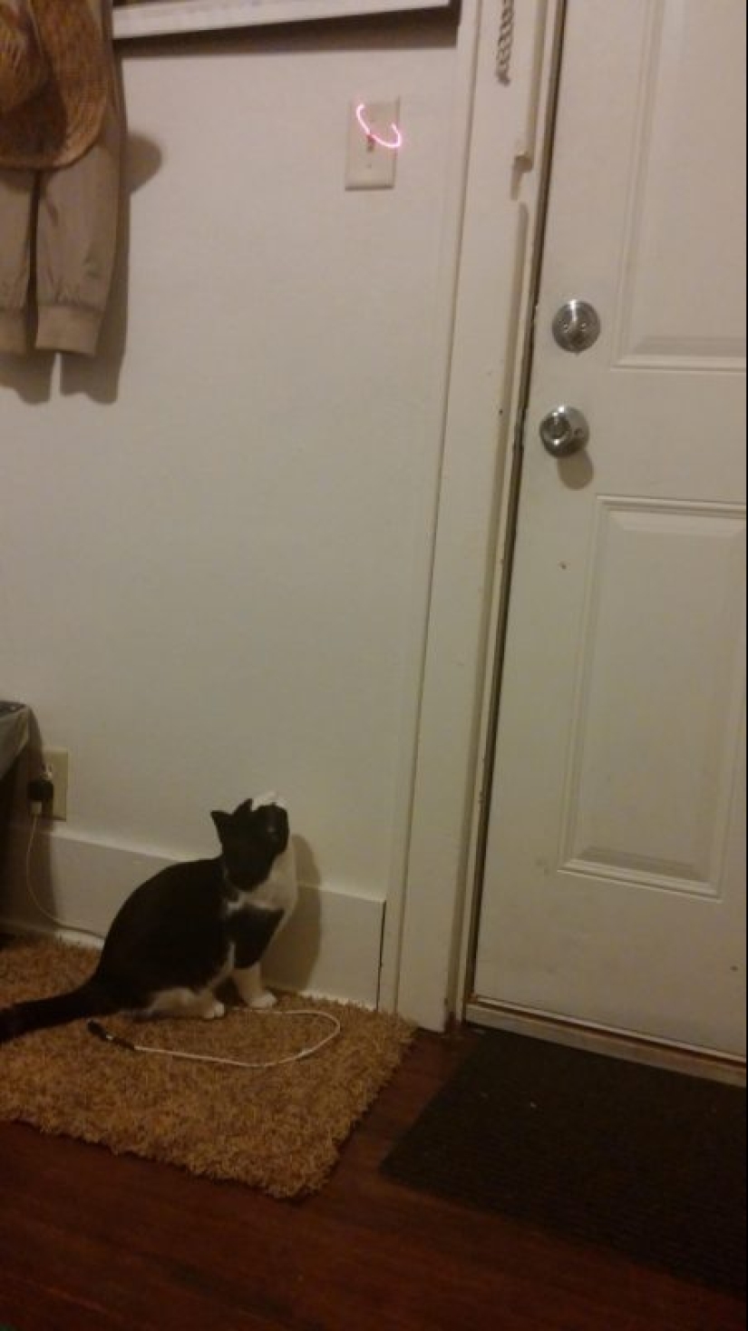 15 photos of people who can find a way out of any situation 15 photos of people who can find a way out of any situation