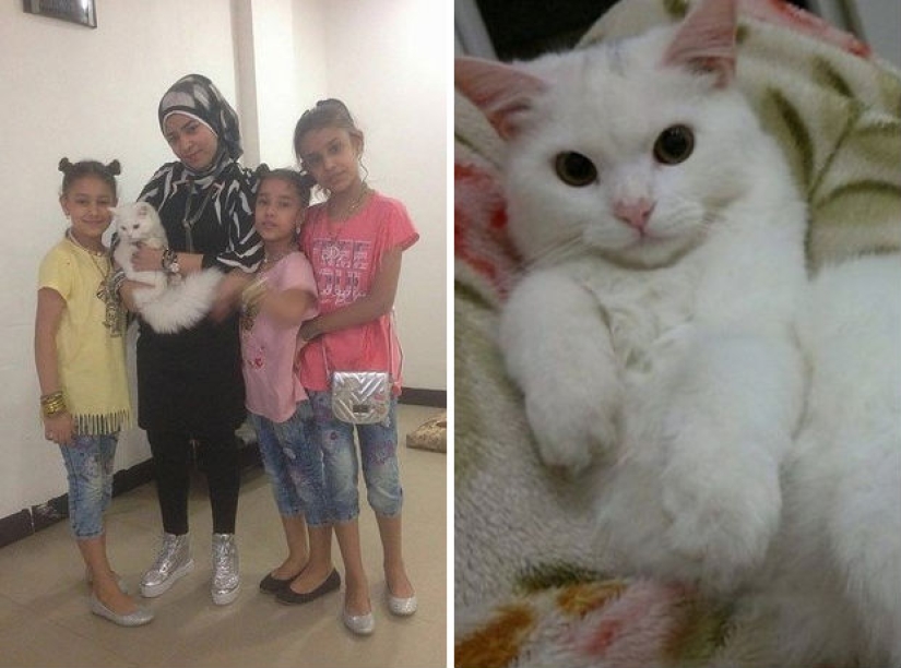 15 photos that will make your day a little better