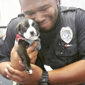 15 photos that will make your day a little better 15 photos that will make your day a little better