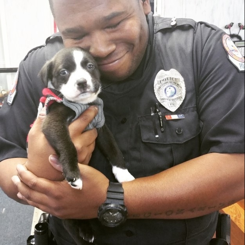 15 photos that will make your day a little better