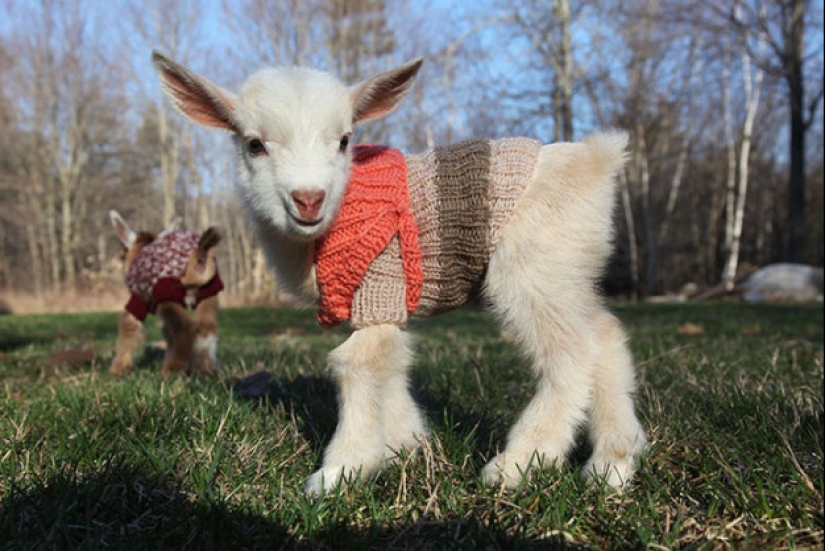 15 photos that will make your day a little better