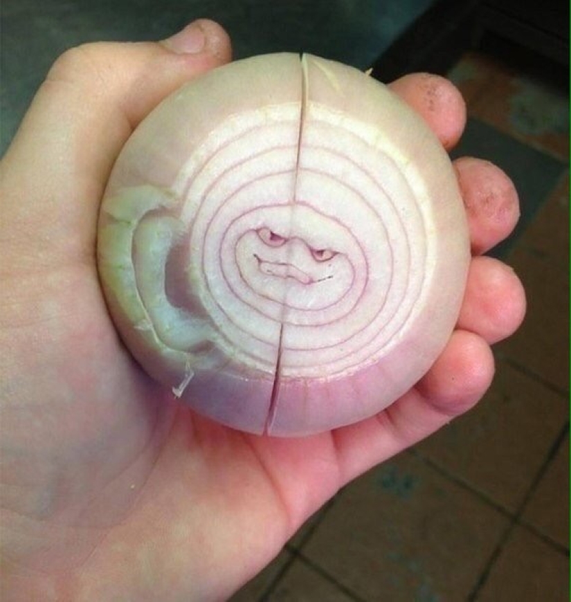 15 photos that will delight your inner perfectionist