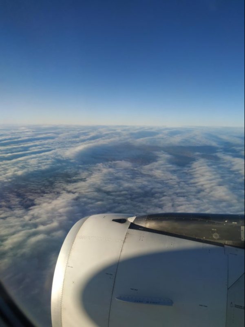 15 photos that will delight your inner perfectionist