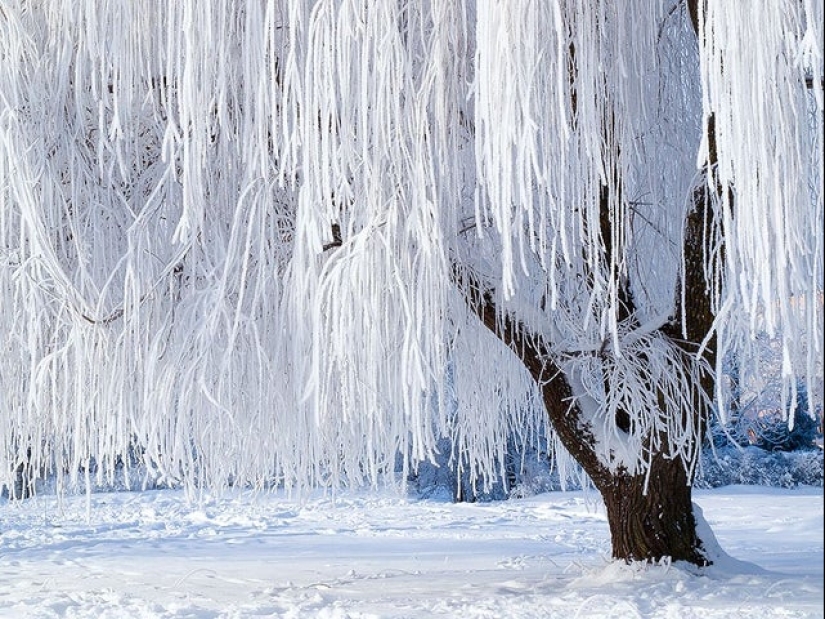 15 photos that will delight your inner perfectionist