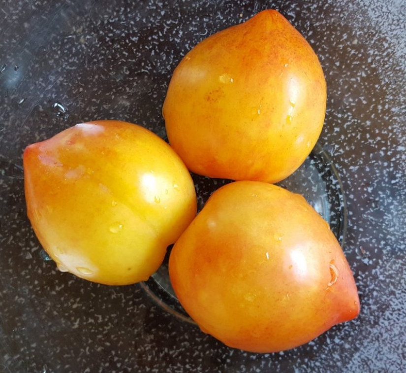 15 photos that will delight your inner perfectionist