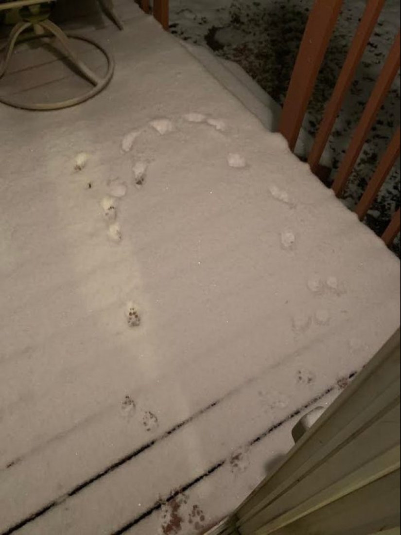 15 pranksters, which in hell prepared a separate boiler 15 pranksters, which in hell prepared a separate boiler