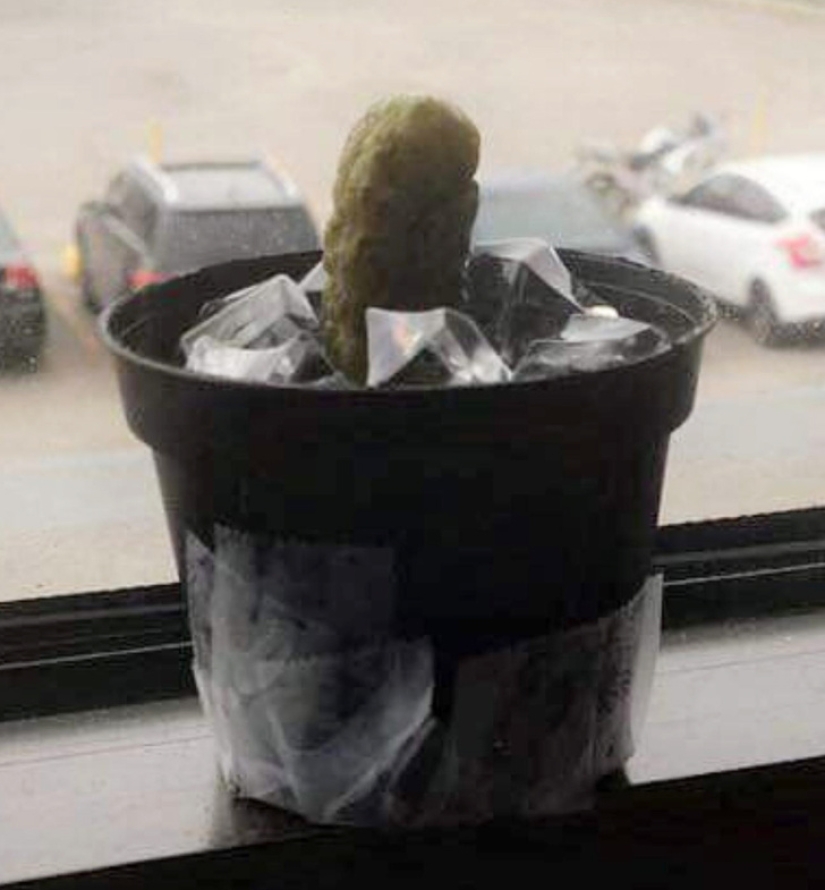 15 pranksters, which in hell prepared a separate boiler 15 pranksters, which in hell prepared a separate boiler