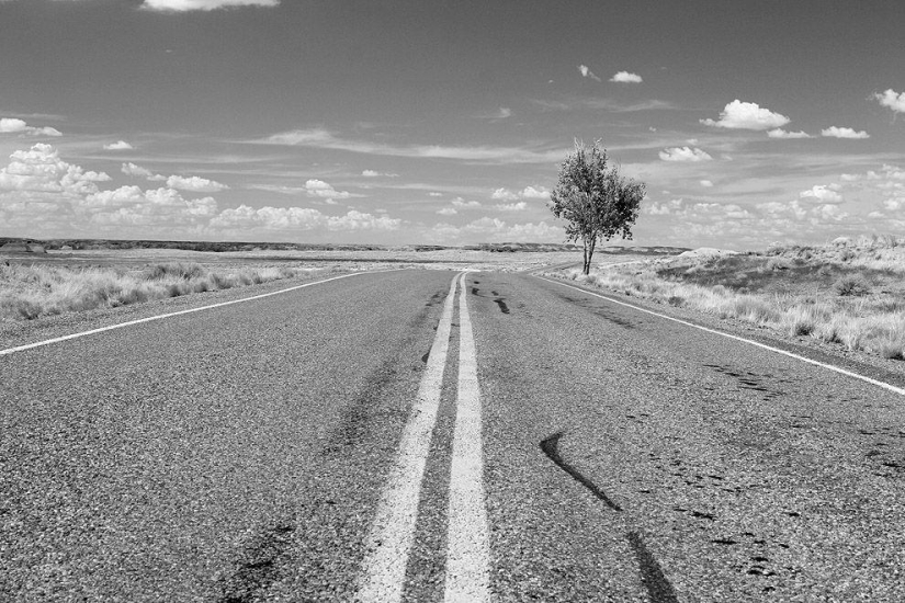 15 Quotes About the Meaning of Life from Paulo Coelho's Books