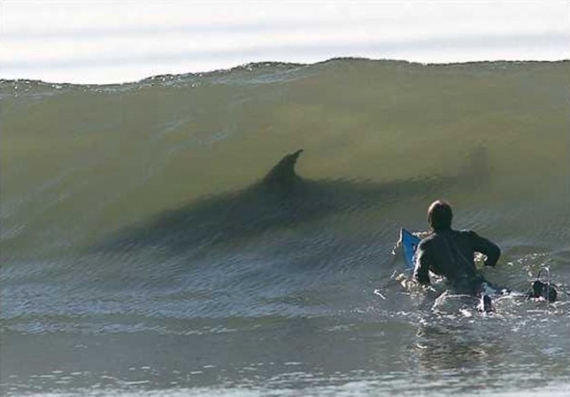 15 shots, after seeing that you're in the water or foot