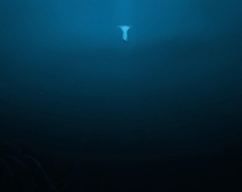 15 shots, after seeing that you're in the water or foot