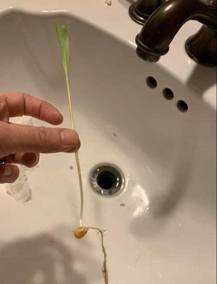 15 situaciones sorprendentes cuando la naturaleza irrumpió en la civilización y comenzó a dictar sus reglas 15 situaciones sorprendentes cuando la naturaleza irrumpió en la civilización y comenzó a dictar sus reglas