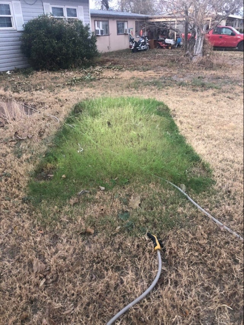 15 situaciones sorprendentes cuando la naturaleza irrumpió en la civilización y comenzó a dictar sus reglas 15 situaciones sorprendentes cuando la naturaleza irrumpió en la civilización y comenzó a dictar sus reglas