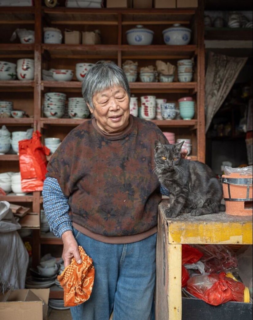 15 Stray Cats That Adapted To Urban Life, Photographed By Marcel Heijnen