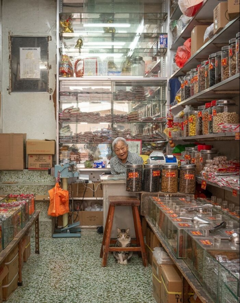 15 Stray Cats That Adapted To Urban Life, Photographed By Marcel Heijnen