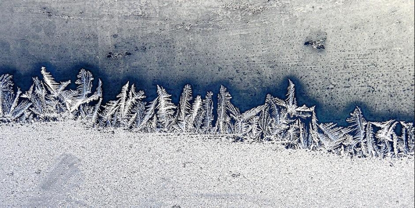 15 ways to use coffee grounds in an eco-friendly way