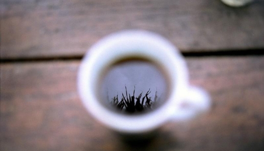 15 ways to use coffee grounds in an eco-friendly way 15 ways to use coffee grounds in an eco-friendly way