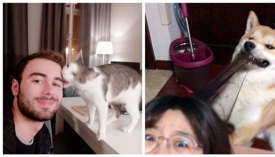 15 wayward animals who don't want to be photographed 15 wayward animals who don't want to be photographed