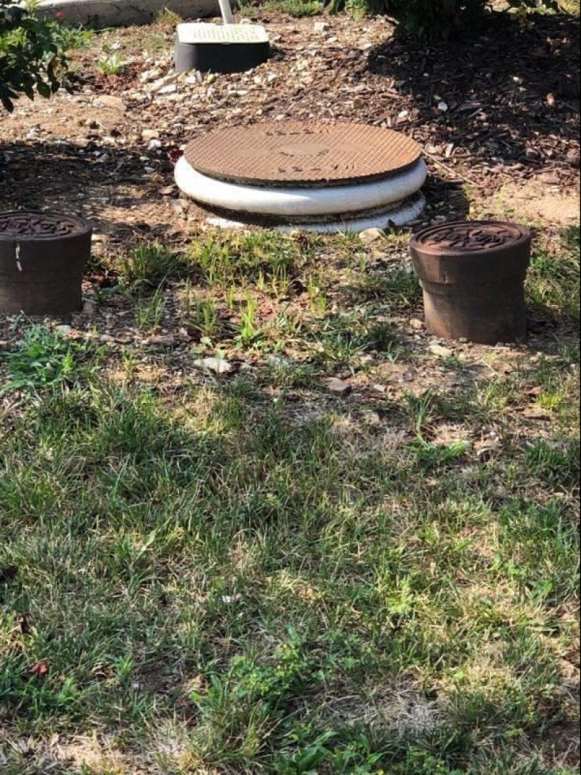 16 cosas que son muy similares a los alimentos, pero mejor no