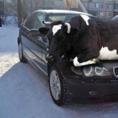 16 cute chicks caught in idiotic situations 16 cute chicks caught in idiotic situations