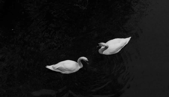 16 ganadores destacados de la naturaleza en los Premios al Fotógrafo del Año 1839