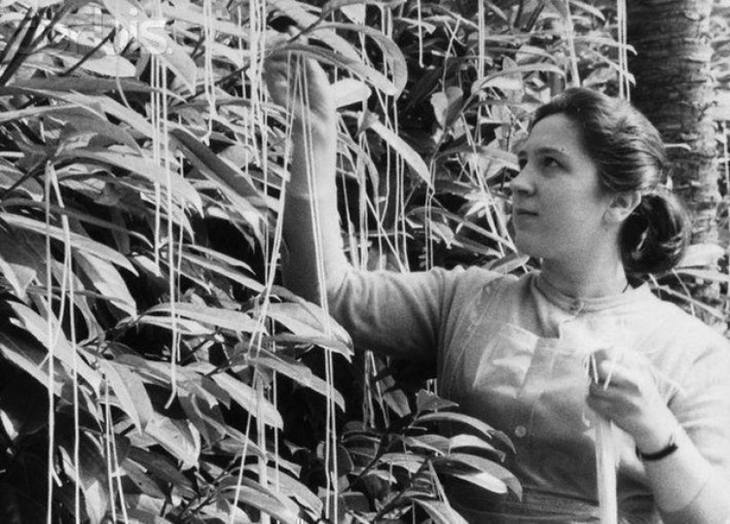 16 hoaxes that have been believed in for a very long time