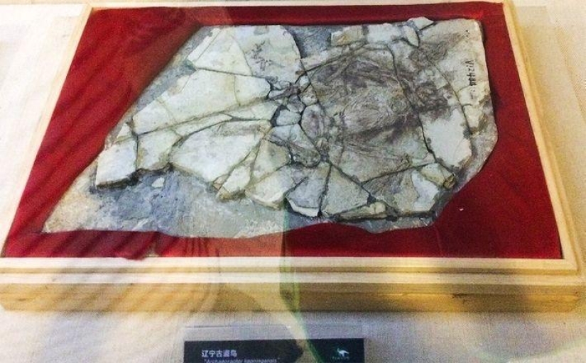 16 hoaxes that have been believed in for a very long time