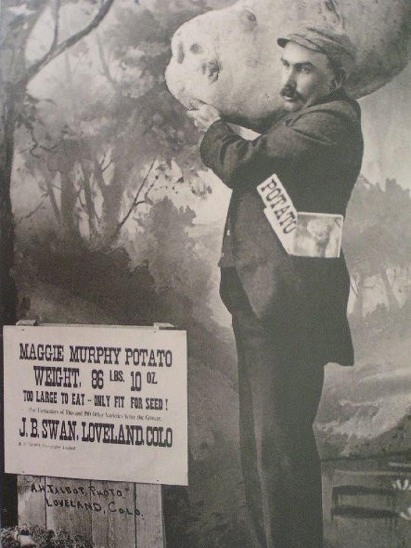16 hoaxes that have been believed in for a very long time